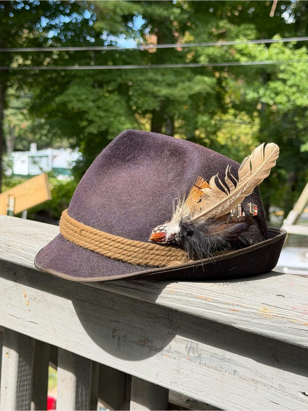 1900s Paula Dostal Felt Fedora Hat with Feather Pin